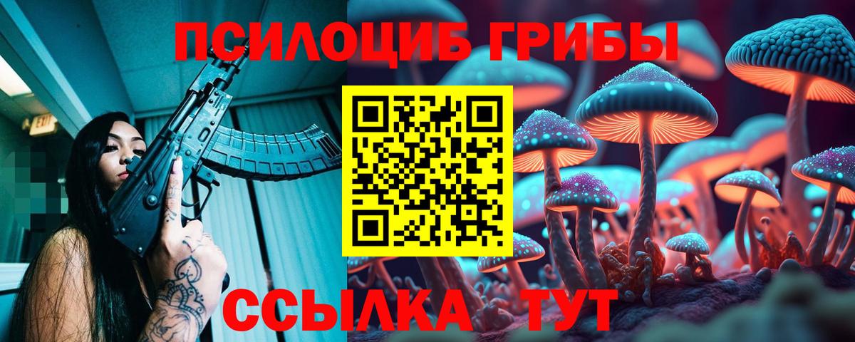Галлюциногенные грибы Psilocybine cubensis  Вход с VPN  продажа наркотиков  Сафоново 